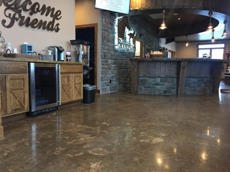 Polished Concrete flooring Bronson Veterinary Services