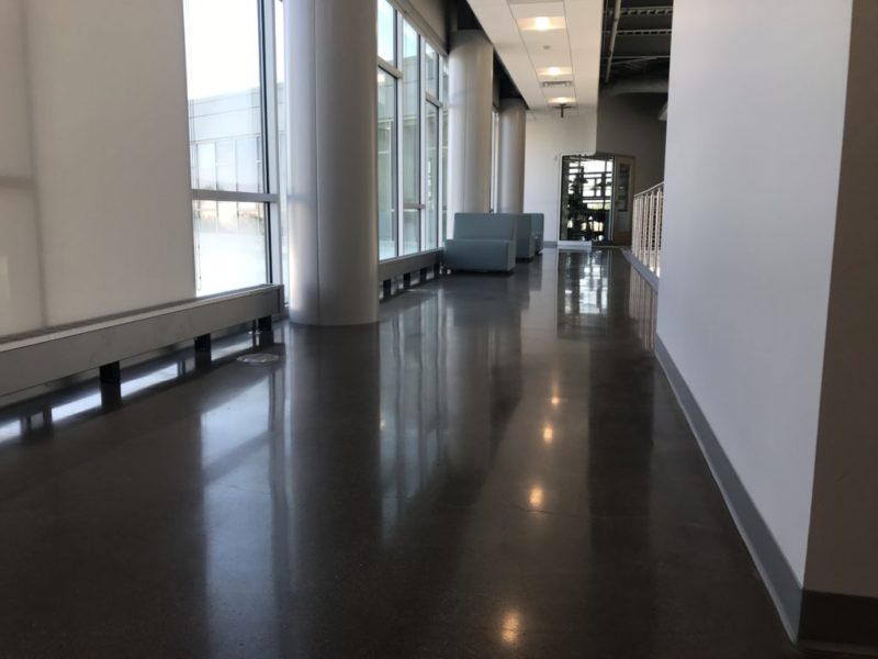 Gray Polished Concrete floor Grace College